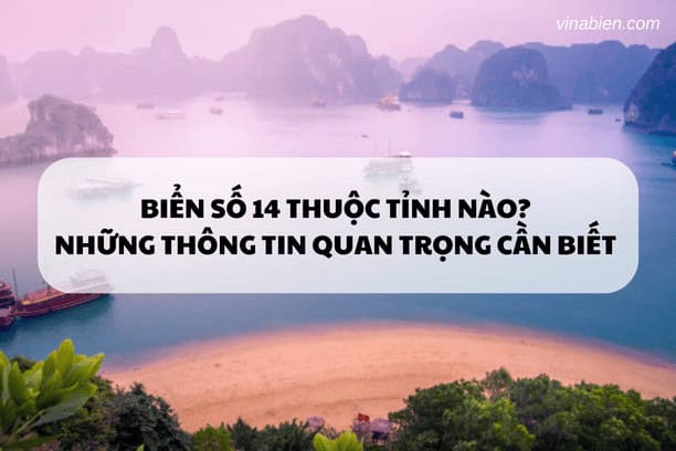 Biển số 14 thuộc tỉnh nào? Những thông tin quan trọng cần biết và chọn biển số đẹp