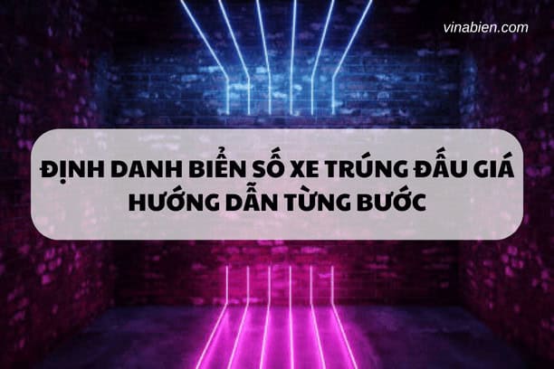 Định danh biển số xe trúng đấu giá: Hướng dẫn từng bước