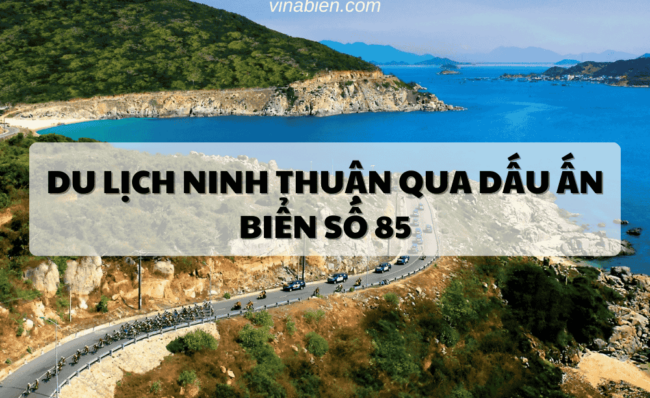 Du Lịch Ninh Thuận Qua Dấu Ấn Biển Số 85