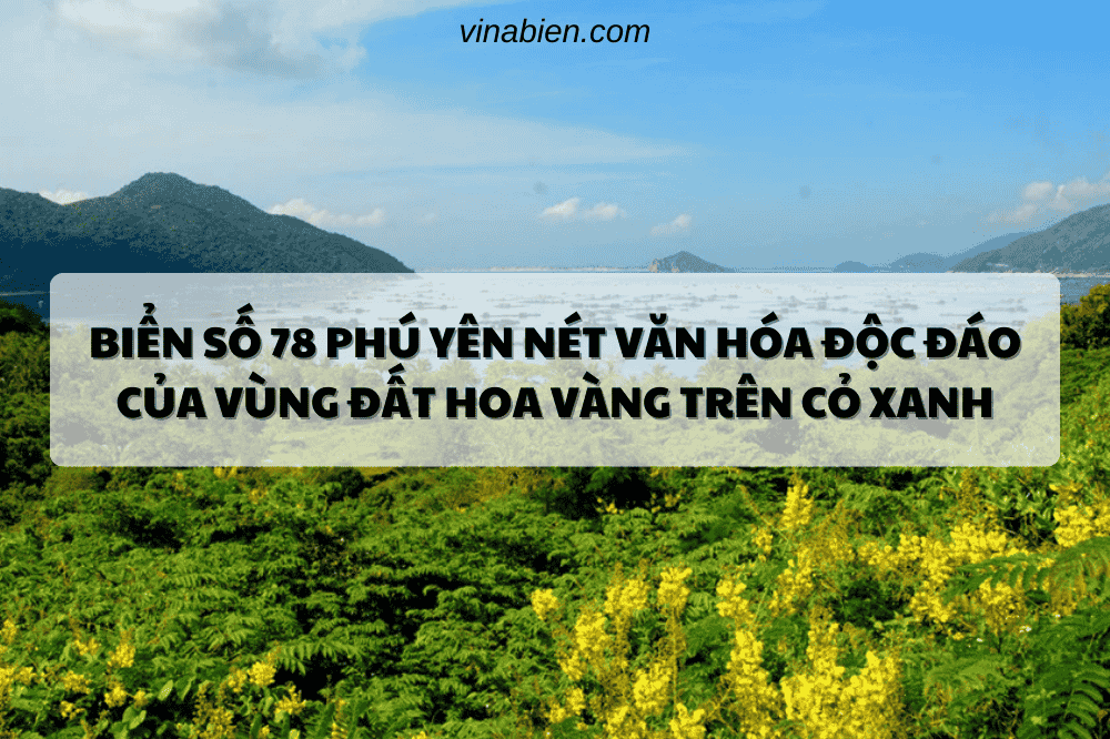 Biển Số 78 Phú Yên Nét Văn Hóa Độc Đáo Của Vùng Đất Hoa Vàng Trên Cỏ Xanh